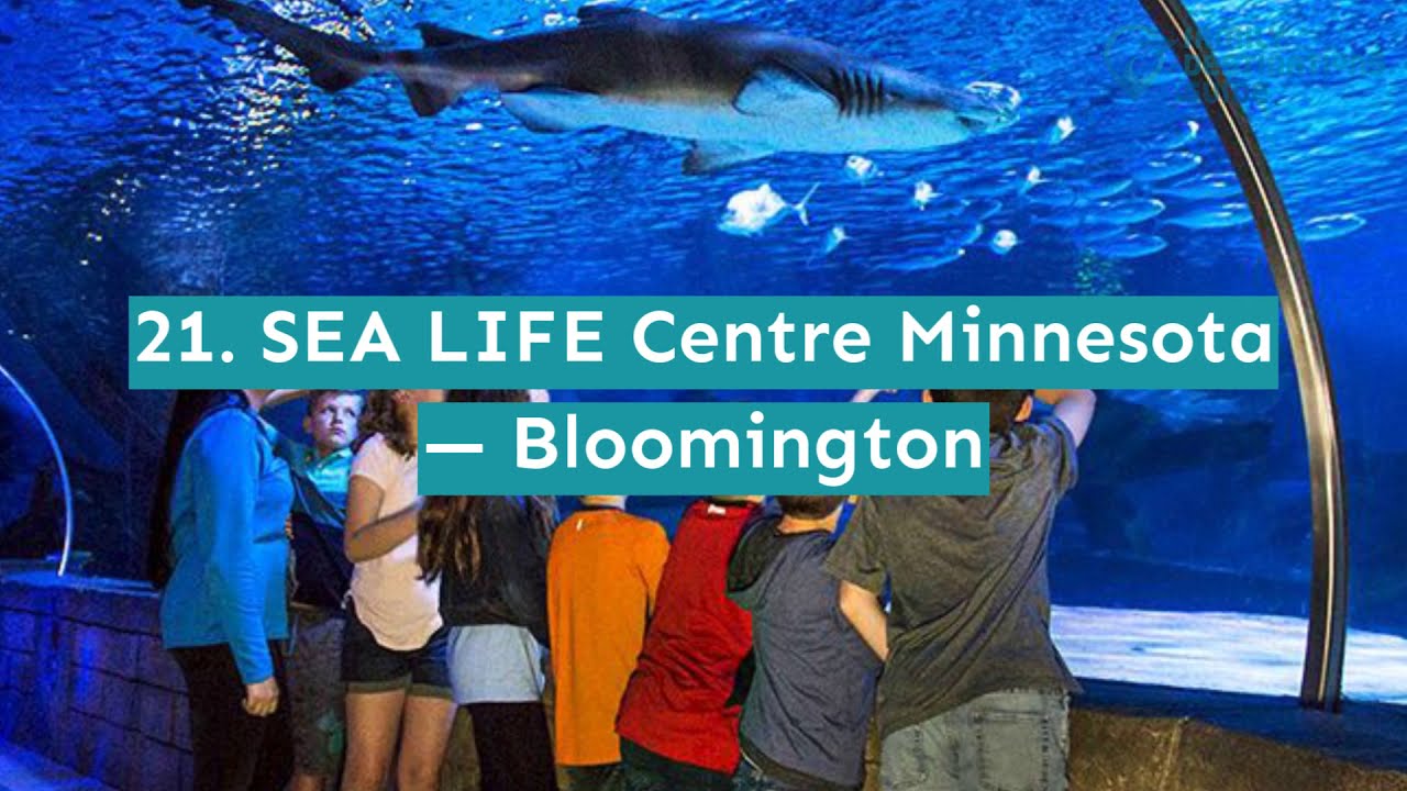 25-best-things-to-do-in-minnesota-youtube