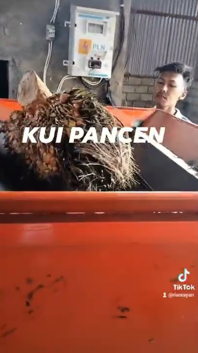 mesin cincang sawit binjai 081260487453 wa