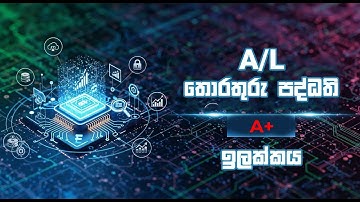 🎯 17 වැනි පාඩම: තොරතුරු පද්ධති (Information Systems) | ව්‍යාපාර අධ්‍යයන A/L | විභාගයට A+