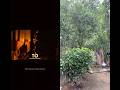! Don't Miss THIS Piece of God's Pla#youtubeshorts #ytshorts