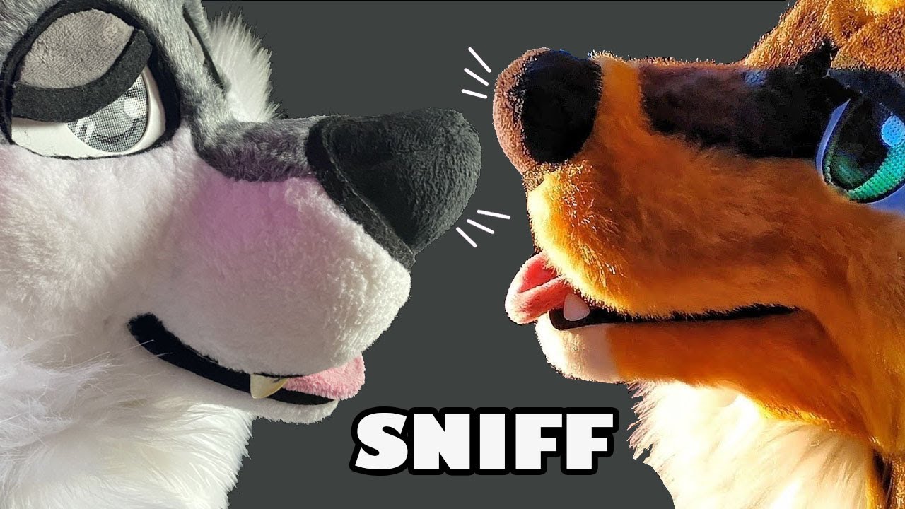 2 Boopable Canines Sniffing You [feat @asmrdog] [FURRY ASMR]