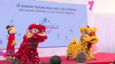 Công ty tnhh top solvent việt nam hải phòng năm 2024