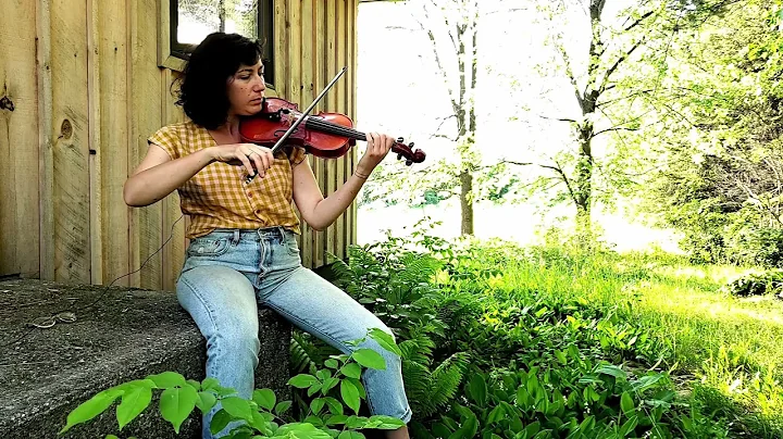 Zollie's Retreat performed by Erica Miller