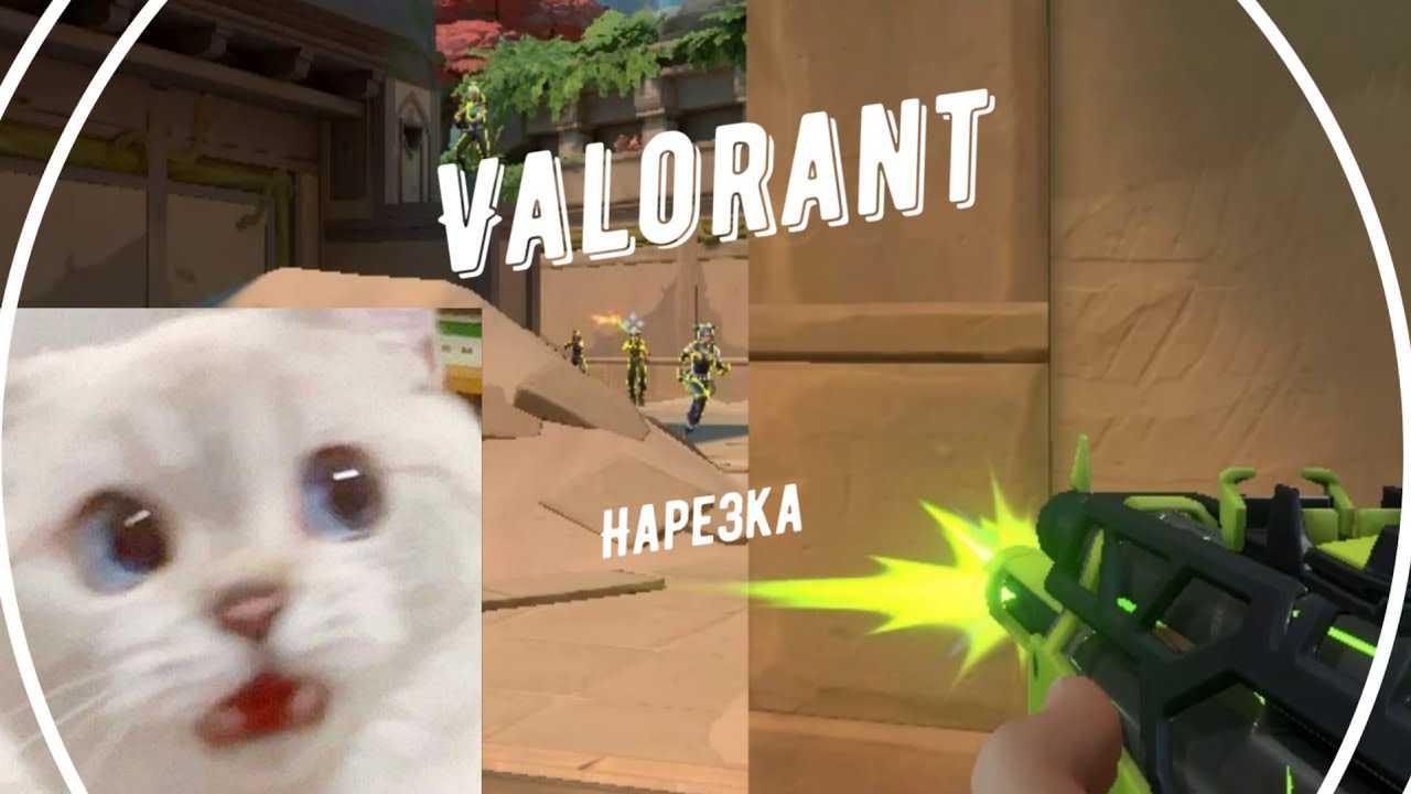 Плов: Мать с покемонами