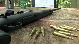 Savage Axis XP 308