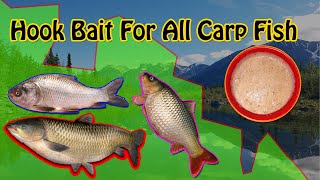 Hook Bait For Carp Fish 100% Result Insha Allah