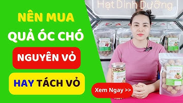 Mua Hạt Óc Chó Nguyên Vỏ Hay Tách Vỏ Tốt Nhất? Loại Nào Phù Hợp? | HSaHa