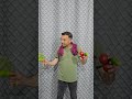 يا غنماتي انتو حياتي | خواريف كيوت | Eid lamb