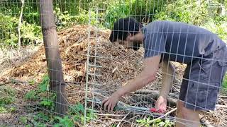 DIY how to build a chain link fence PRO TIPS CUTTING WIRE part 38