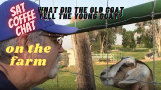 Sat Coffee Chat/On The Farm/#TwinFalls/#Jerome/Old Goat Young Goat