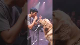 AI VIDEO EDITING ME AND MY DOG RAP #shortvideo #shorts