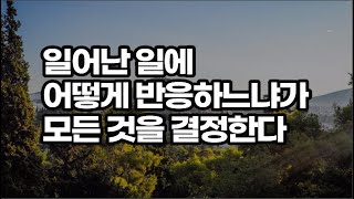 더 나은 삶을 살고자 한다면 이런 생각은 하지 마라 / 나를 위해 살지 않으면 남을 위해 살게 된다 / 책데이트 책소개 오디오북