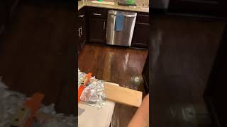 Chain reaction science 4th grade