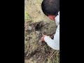 Muddy Waters Fish Catching