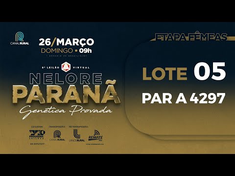 LOTE 5 PAR A4297