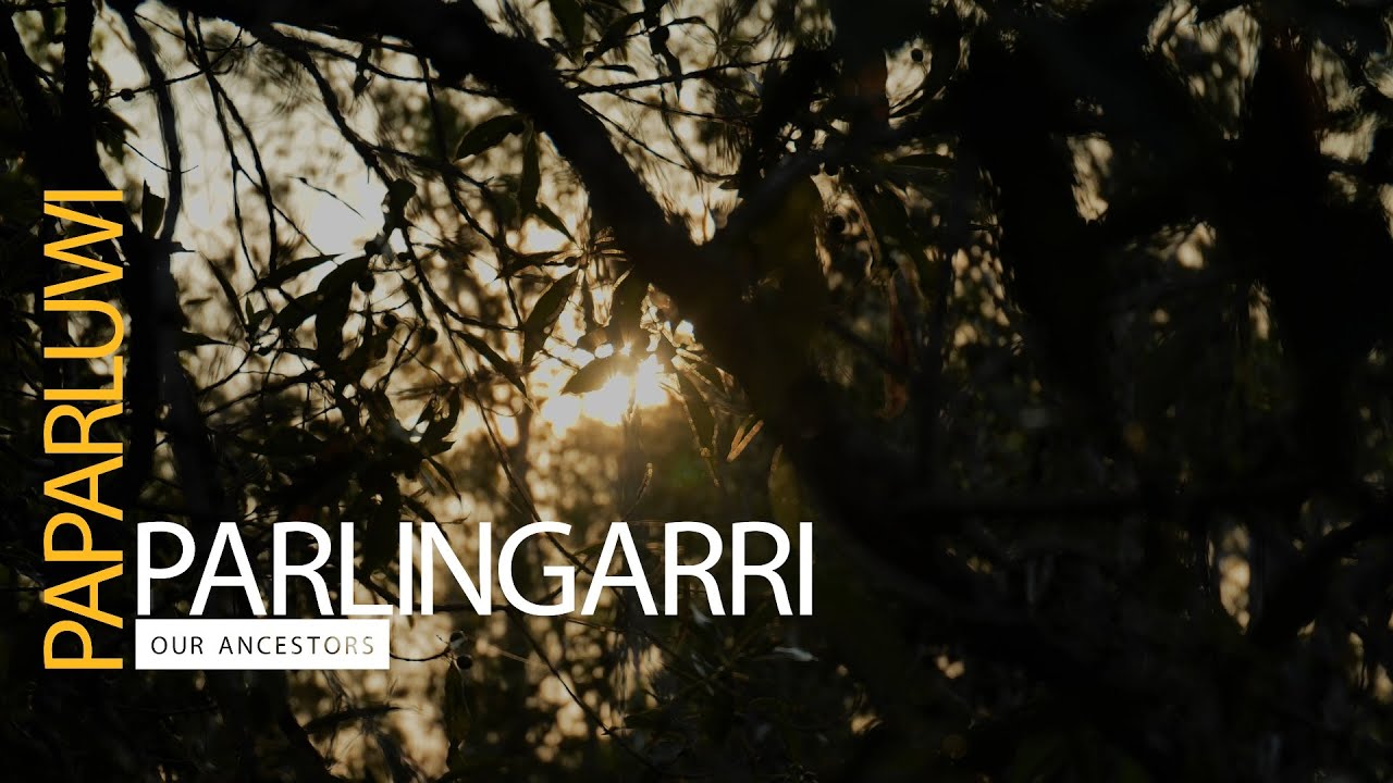 Paparluwi Parlingarri - Our Ancestors