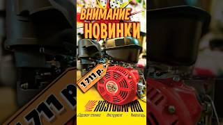 Новый двигатель WEIMA WM192FE/P 18 л.с. в магазинах Хозтоварищ