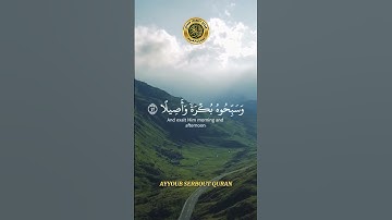 سورة الأحزاب الآية 40-42 تلاوة الشيخ ياسر الدوسري