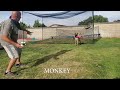 Monkey the dog plays baseball