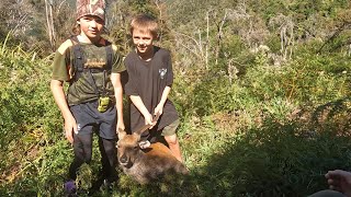 Introducing Kids to the Thrill of Sika Deer Hunting in Kaweka Forest Park