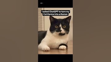 I asked ChatGPT to turn my Cat Karma into a Human #cats #catshorts #chatgpt #chatgptprompts