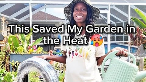 Container Garden Watering Made Easy  (Drip Irrigation Tutorial)