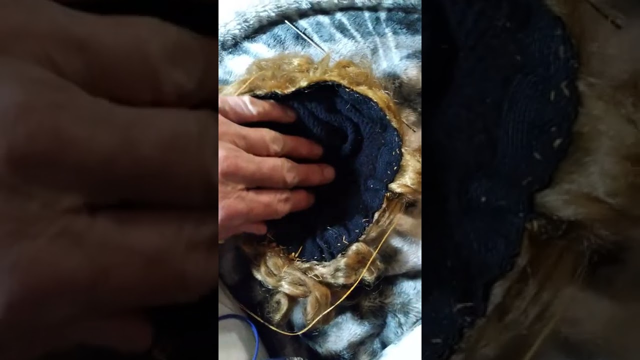 Saucy Walker Restoring Journey # 3