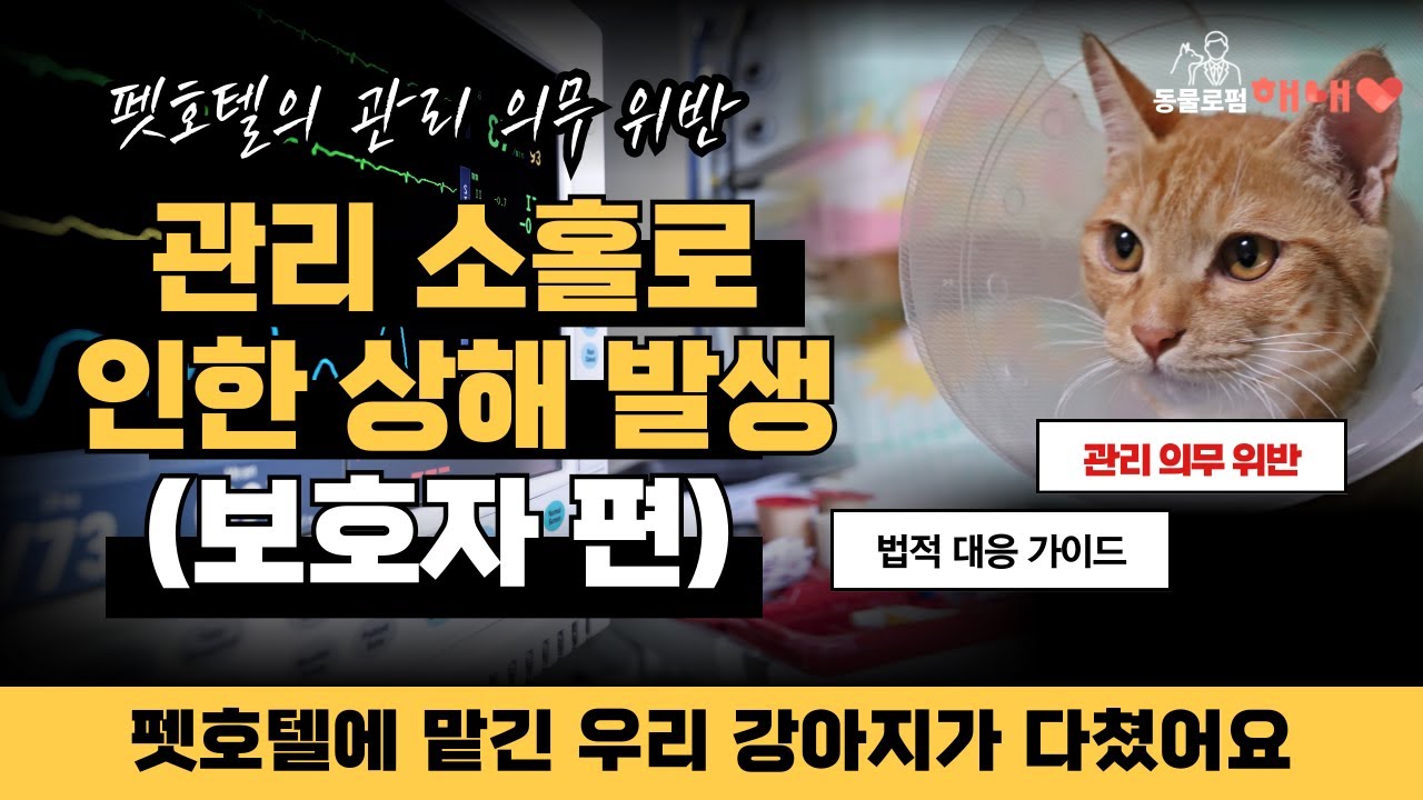 동물변호사가 알려주는 펫호텔 관리 소홀로 우리 아이가 다쳤을 때 이렇게 대응하세요! 