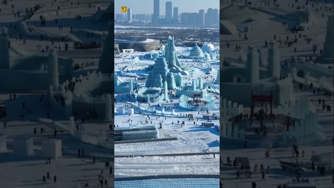 A magical world made of ice 