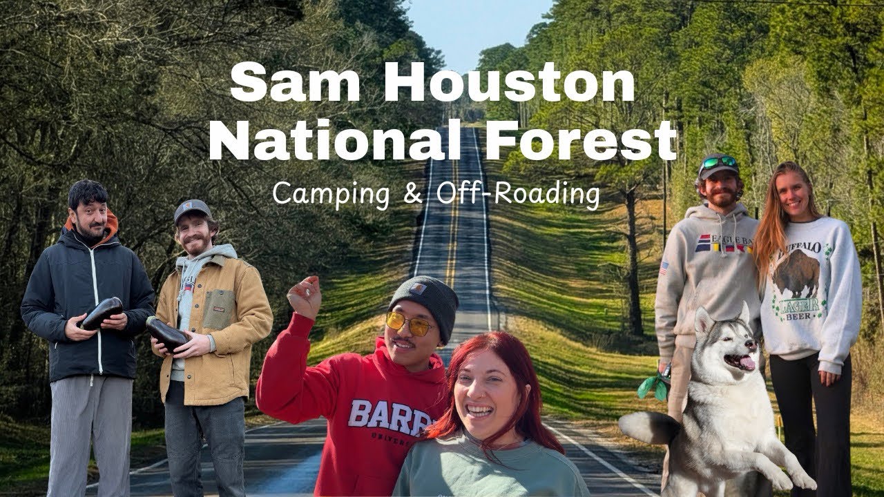 Camping and Off-Roading in Sam Houston National Forest
