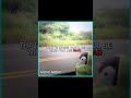 Hold on tight to this time this place | MPR 40 EDIT #sockpuppet #theendpart2 #roleplay #shorts #edit