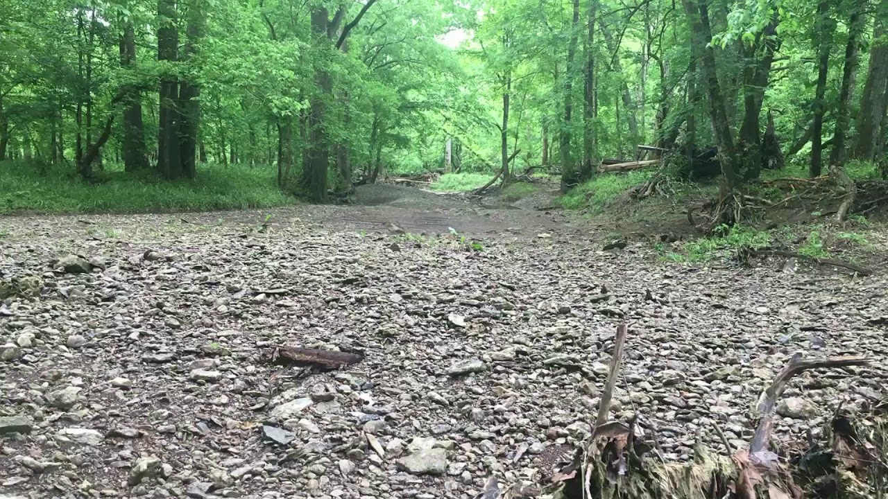 Ky ARROWHEAD HUNT. Few GREAT days! YouTube