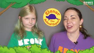 Bronx Children's Museum: Camouflaged Critters
