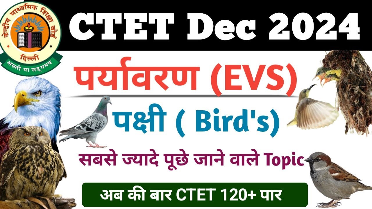 CTET DEC 2024 // EVS paper 1 Bird's// ctet December 2024 NCERT पक्षी ...