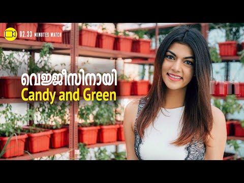 Shraddha Bhansali's Candy and Green, a hub for veggie lovers|Channeliam