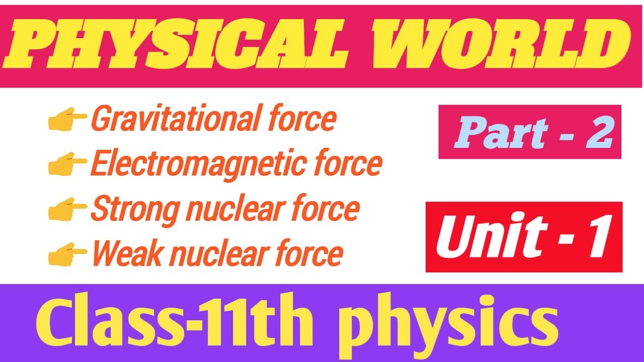 Physical world part - 02 ||class 11th physics || fundamental forces in ...