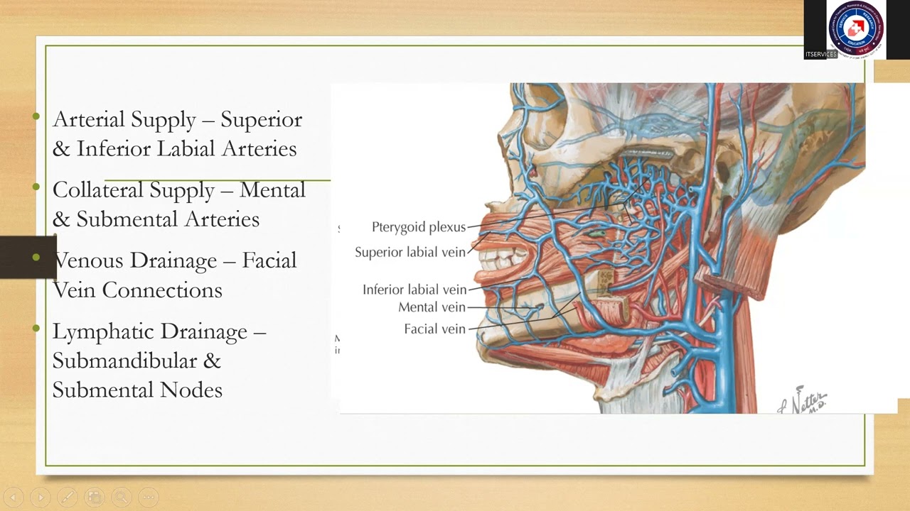 Carcinoma Lip: Causes & Management