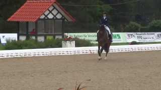 Catherine Rose Chamberlain & Avesto Van Weltevreden ~ YR Freestyle at 2015 CDIO Hagen