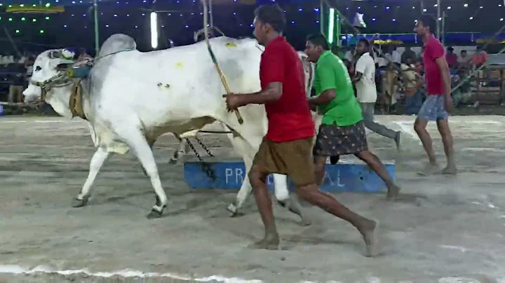 & Venkatagiri Hemalatha naidu, Yerrabalem.. 2nd an...