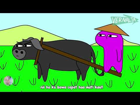 Membajak sawah dengan kerbau @vernalta
