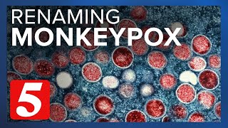 WHO plans to rename monkeypox over stigmatization concerns