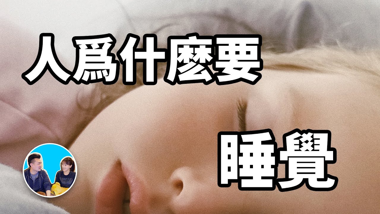 你每天都做這件事，但你真的知道自己在做什麽嗎 | 老高與小茉 Mr & Mrs Gao