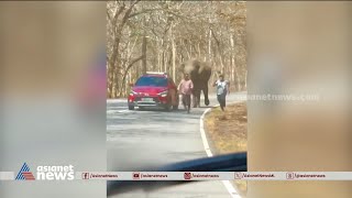 ആനയെ കണ്ട് കാറിൽ നിന്ന് പുറത്തിറങ്ങി, പിന്നാലെ ഓടി കാട്ടാന