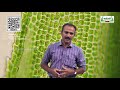 11th Botany செல் உயிரியல் ம உயிரி குரோமோசோம்கள் அலகு 6 பகுதி 6 TM Kalvi TV