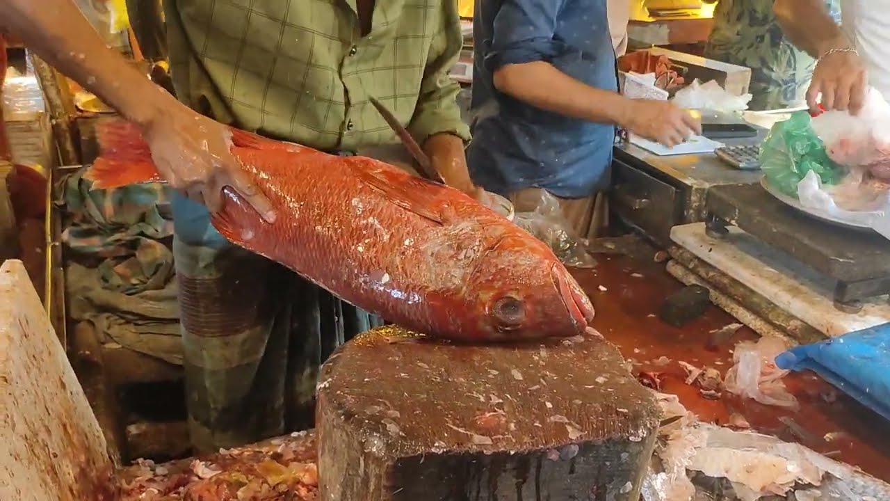 Amazing Big Size Red Powa Fish Cutting Skills By Expart।popa fish cutting skills।Fish cutting video।
