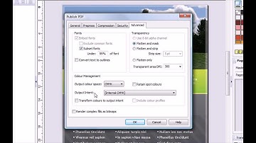 PagePlus X6 - Professional Printing (MiniVid)