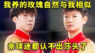 Download Lagu 我亲手养的玫瑰自然与我有几分相似，莎头已经到了亲球迷都认不出的程度#王楚钦 #孙颖莎 #国乒 MP3