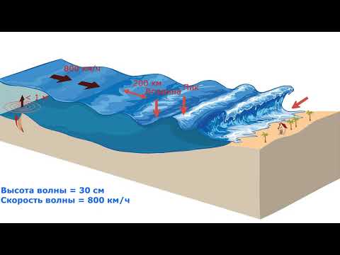 Как образуются цунами / землетрясение