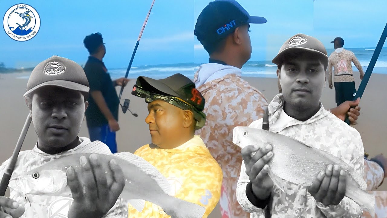 Рыбалка на коб в Умкомаасе // Быстрая вечерняя сессия