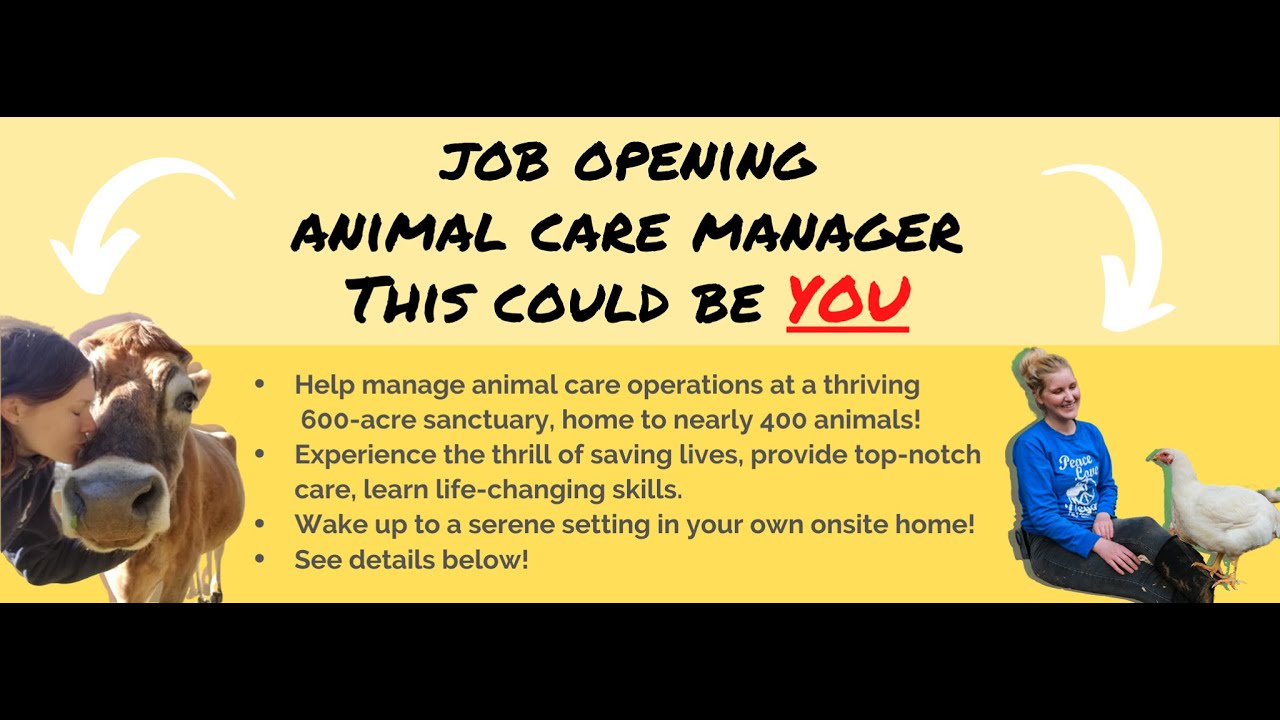 Now Hiring Animal Care Manager YouTube